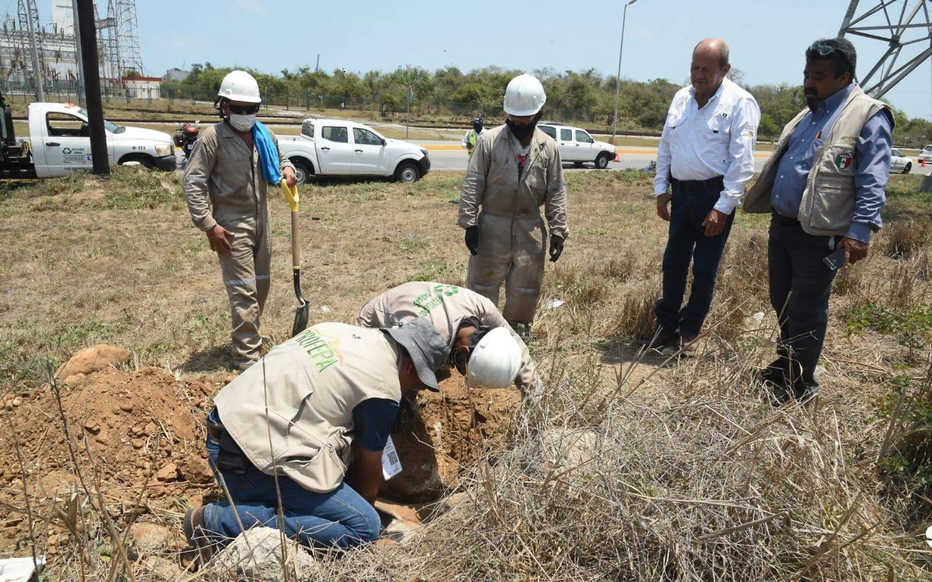 Atropellan a un venado cola blanca en Altamira José Luis Tapia (2)